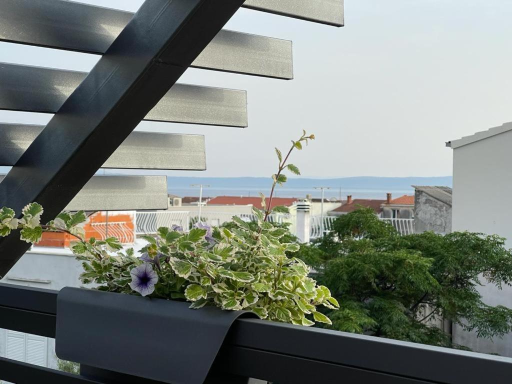 Villa Jadranka Apartments Tučepi Exterior foto